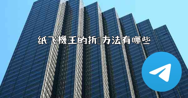 纸飞機王的折叠方法有哪些