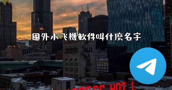 國外小飞機軟件叫什麼名字