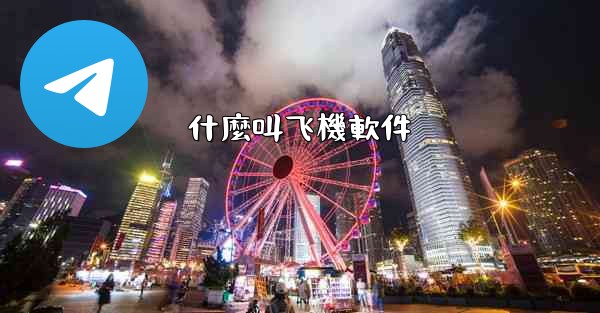 什麼叫飞機軟件