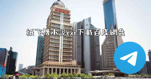 纸飞機小說txt下載百度網盘