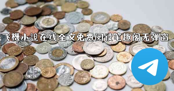 纸飞機小說在线全文免费阅读笔趣阁无弹窗