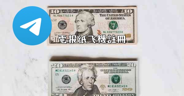 電报纸飞機註冊