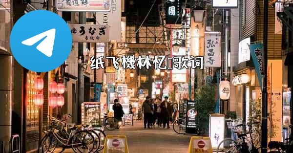 纸飞機林忆莲歌词