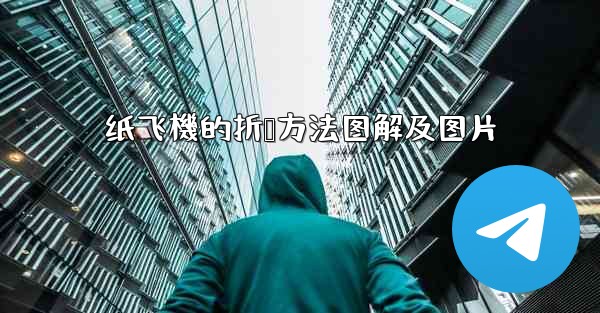 纸飞機的折叠方法图解及图片