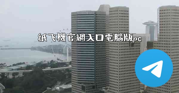 纸飞機官網入口電腦版pc