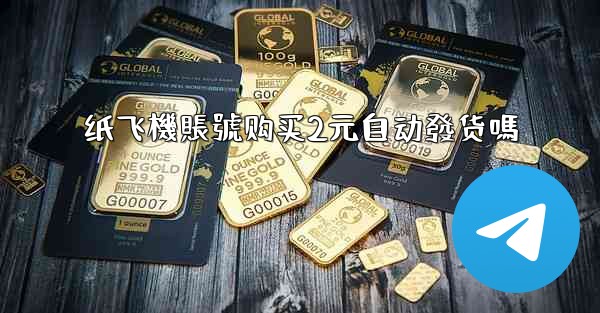 纸飞機賬號购买2元自动發货嗎