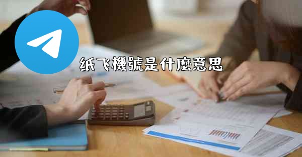 纸飞機號是什麼意思