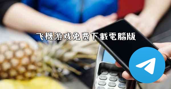 飞機游戏免费下載電腦版