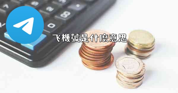 飞機號是什麼意思