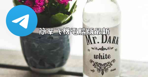 簡單飞機電腦版最新