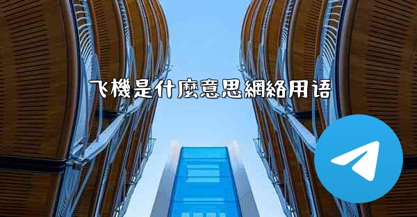 飞機是什麼意思網絡用语