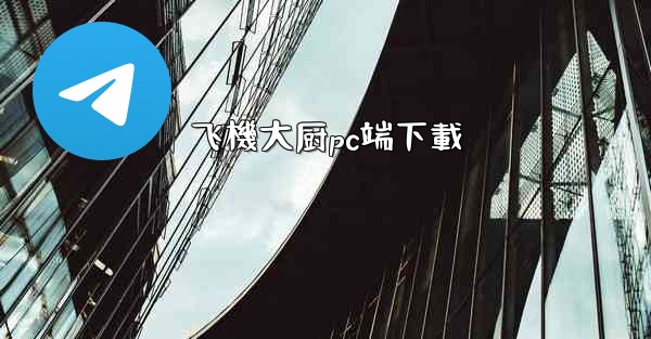 飞機大厨pc端下載