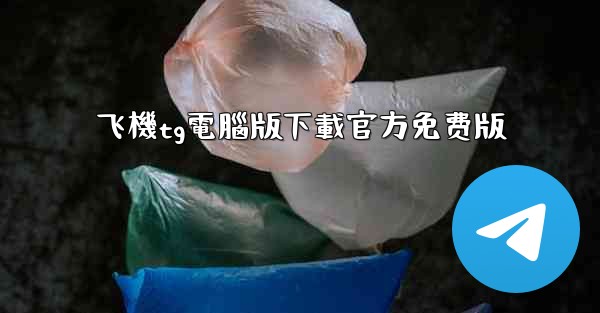 飞機tg電腦版下載官方免费版