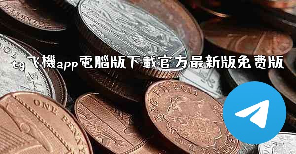 tg飞機app電腦版下載官方最新版免费版