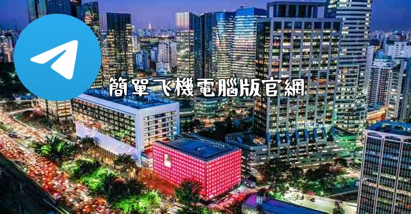 簡單飞機電腦版官網