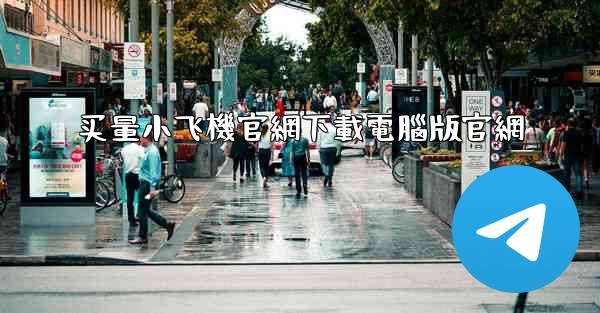 买量小飞機官網下載電腦版官網