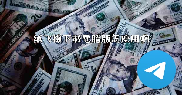 纸飞機下載電腦版怎麼用啊