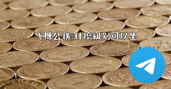 <b>飞機公務舱什麼級别可以坐</b>