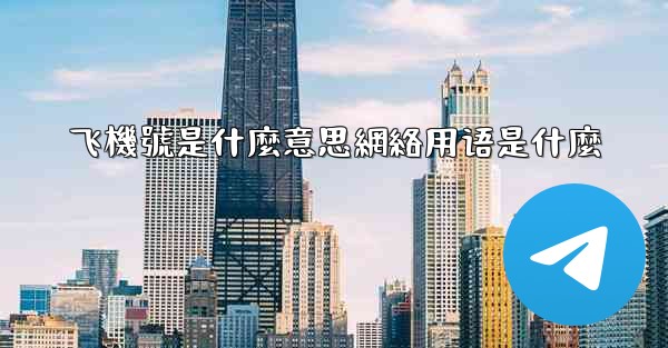 飞機號是什麼意思網絡用语是什麼