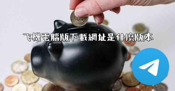 飞機電腦版下載網址是什麼版本