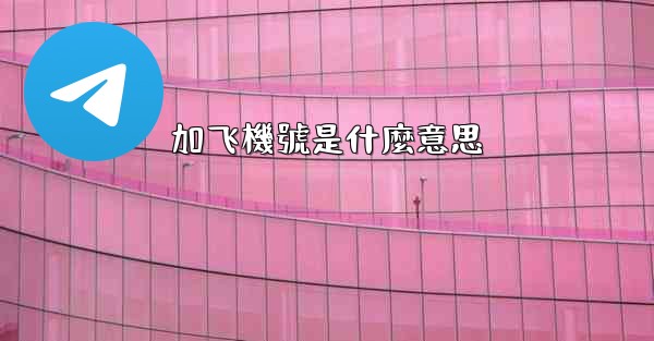 加飞機號是什麼意思