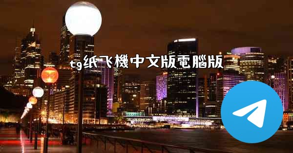 tg纸飞機中文版電腦版
