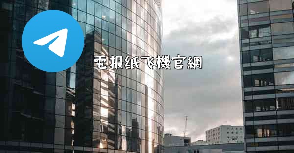 電报纸飞機官網