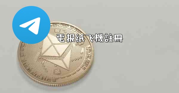 電报纸飞機註冊