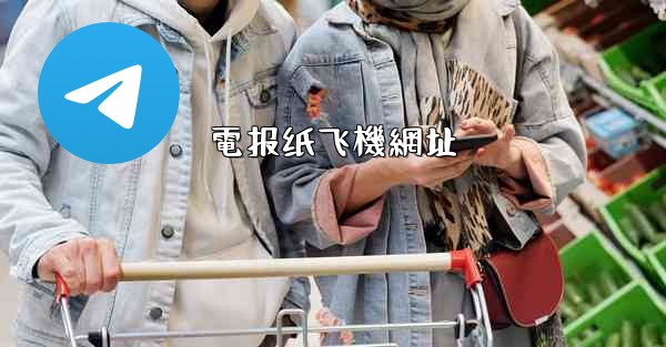 <b>電报纸飞機網址</b>