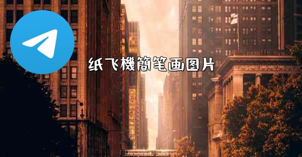 纸飞機簡笔画图片