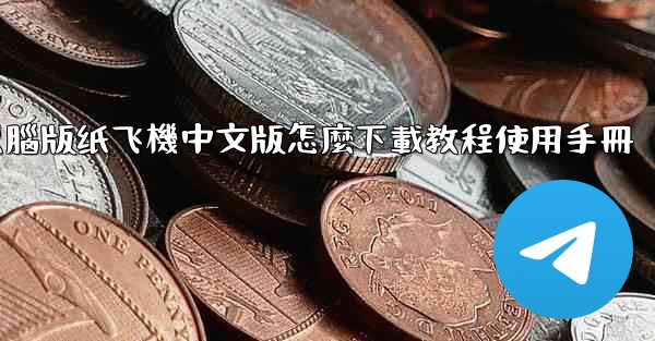 電腦版纸飞機中文版怎麼下載教程使用手冊