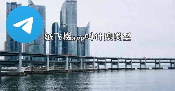 纸飞機app叫什麼类型