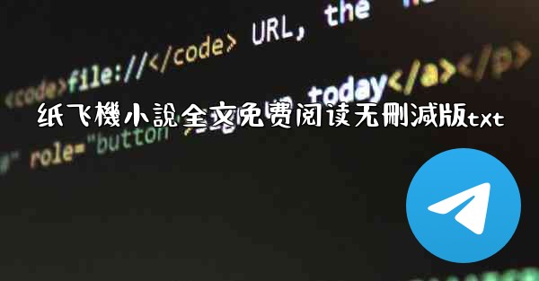 纸飞機小說全文免费阅读无刪減版txt