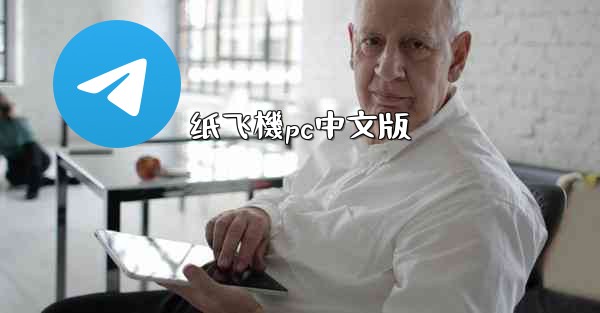 纸飞機pc中文版