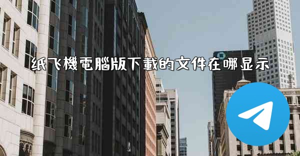 纸飞機電腦版下載的文件在哪显示