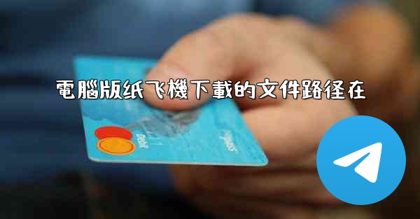 <b>電腦版纸飞機下載的文件路径在</b>