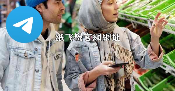 纸飞機官網網址
