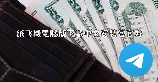 纸飞機電腦版下載中文安裝包官方
