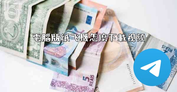 電腦版纸飞機怎麼下載视频