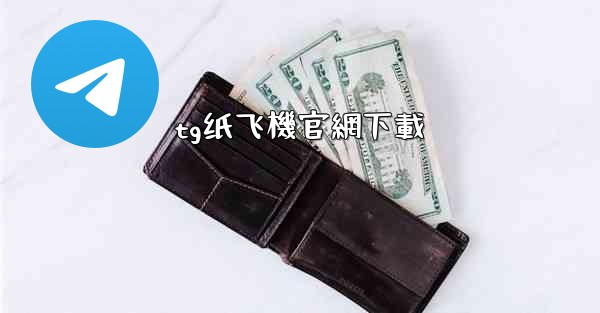 tg纸飞機官網下載