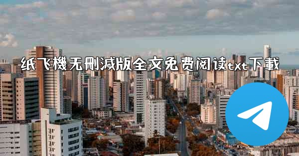 纸飞機无刪減版全文免费阅读txt下載