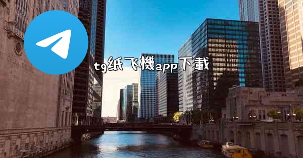 tg纸飞機app下載