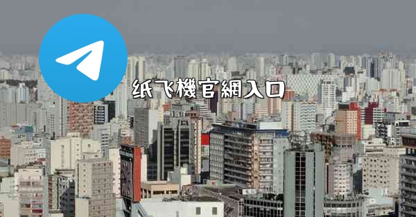 纸飞機官網入口