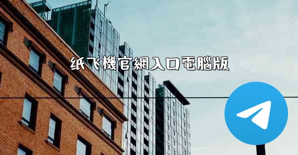 纸飞機官網入口電腦版