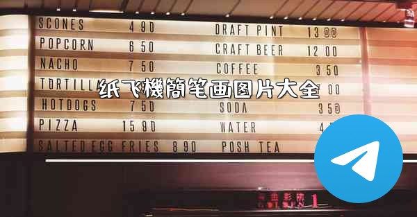 纸飞機簡笔画图片大全