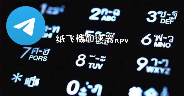 纸飞機加速器npv