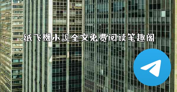 纸飞機小說全文免费阅读笔趣阁