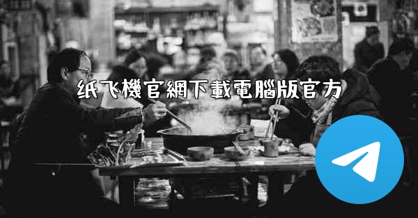 纸飞機官網下載電腦版官方