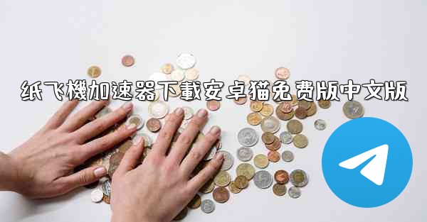 纸飞機加速器下載安卓猫免费版中文版