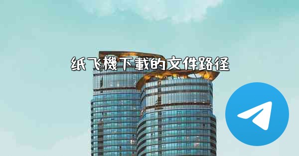 纸飞機下載的文件路径
